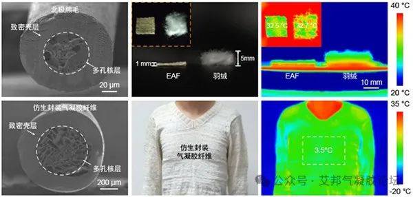 浙大学者在超保暖气凝胶纤维仿生设计方面取得进展