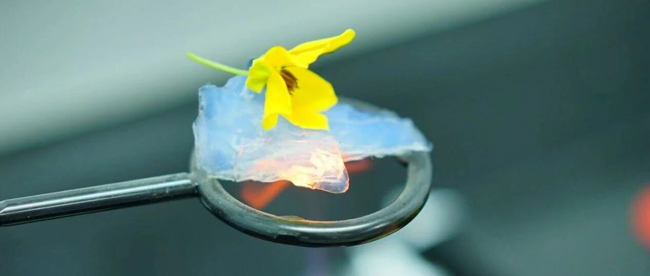 2025气凝胶行业大事盘点（含项目动态/企业新品/产能交付/企业融投资/科研专利）