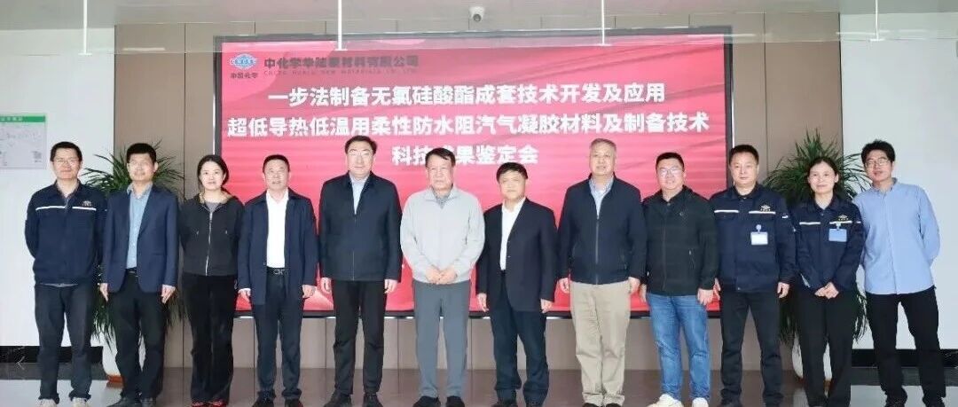 中化学华陆新材无氯硅酸酯&气凝胶复合材制备两项科技成果通过专家鉴定