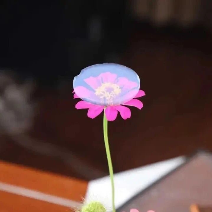 硅酸钠基气凝胶的应用前景与产业突围